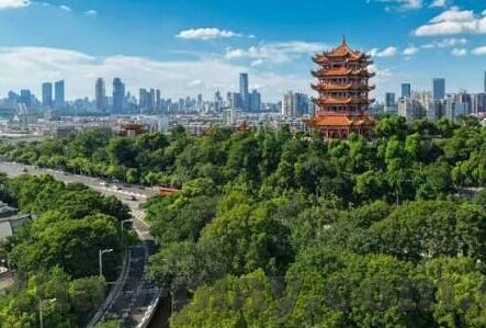 博体足球即时比分-博体足球即时比分,足球迷的掌上实时战场