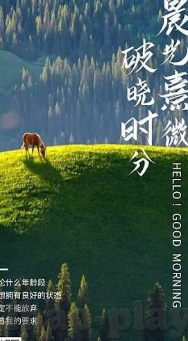 雪原园足球比分直播-雪原园足球比分直播,冰雪赛场下的激情与速度盛宴